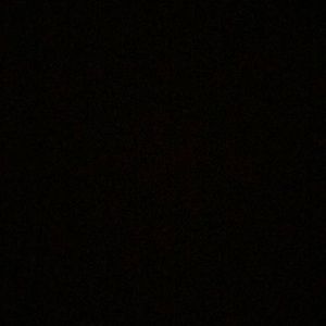 Meet your Posher, Nina